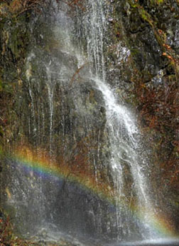 waterfall rainbow smaller graphic
